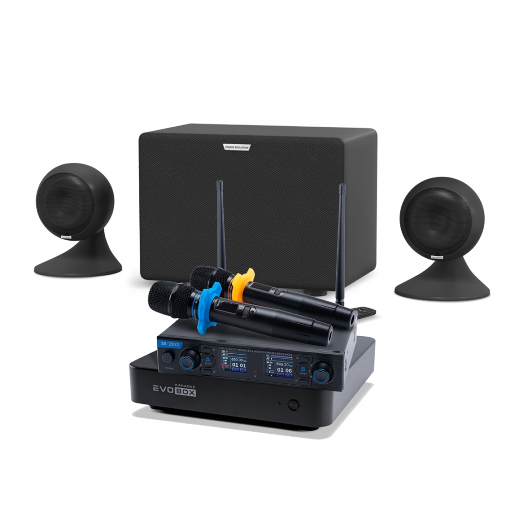 караоке-комплект EVOBOX + EvoSound Sphere 2.1 в Лениногорске