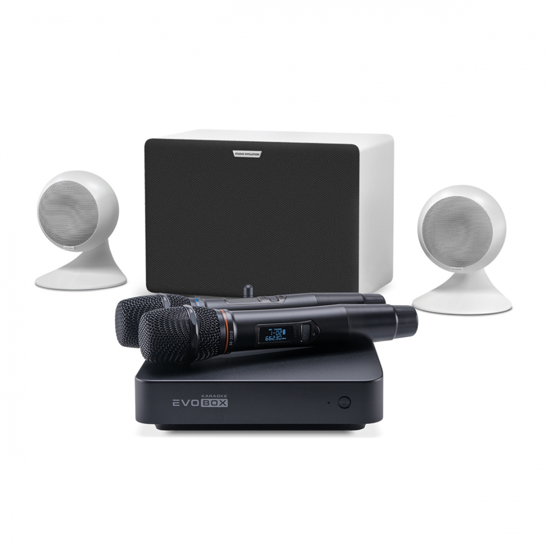 караоке-комплект EVOBOX Classic + EvoSound Sphere 2.1 в Лениногорске