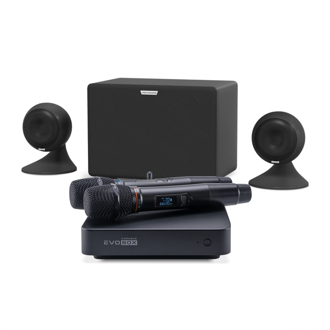 караоке-комплект EVOBOX Plus + EvoSound Sphere 2.1 в Лениногорске