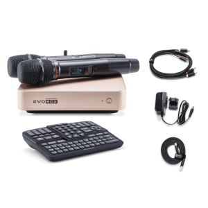 EVOBOX Classic караоке-система для дома в Лениногорске