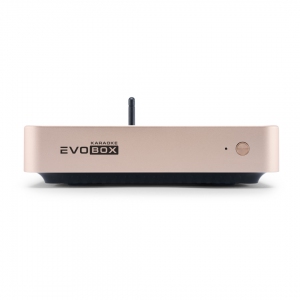 EVOBOX Plus караоке-система для дома в Лениногорске