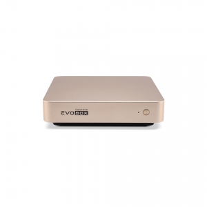 EVOBOX с микрофонами в Лениногорске